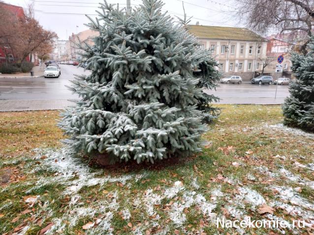 "Живой уголок"