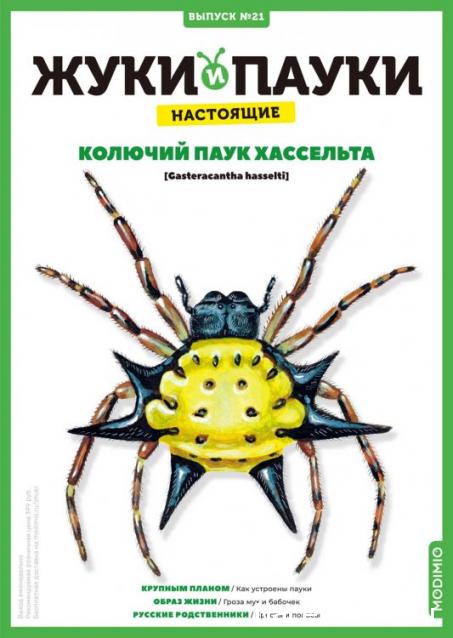Жуки и Пауки №21 - Колючий Паук Хассельта