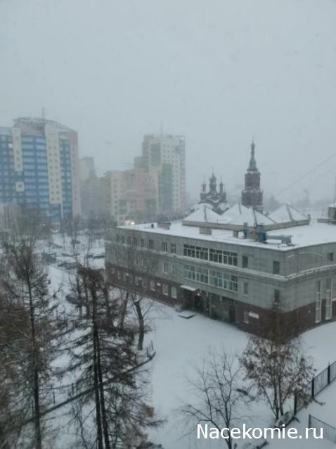 "Живой уголок"