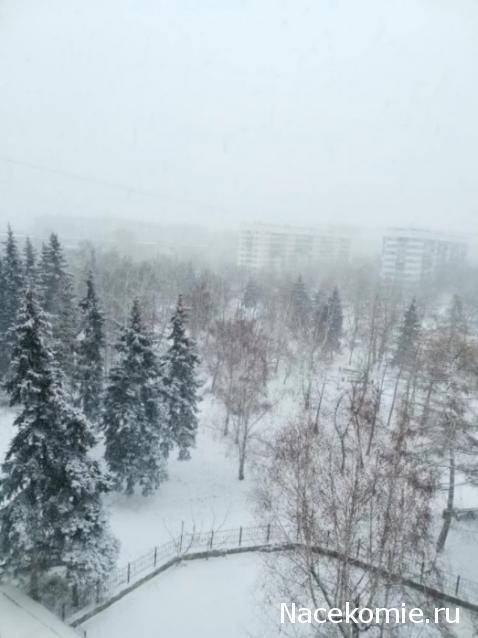 "Живой уголок"