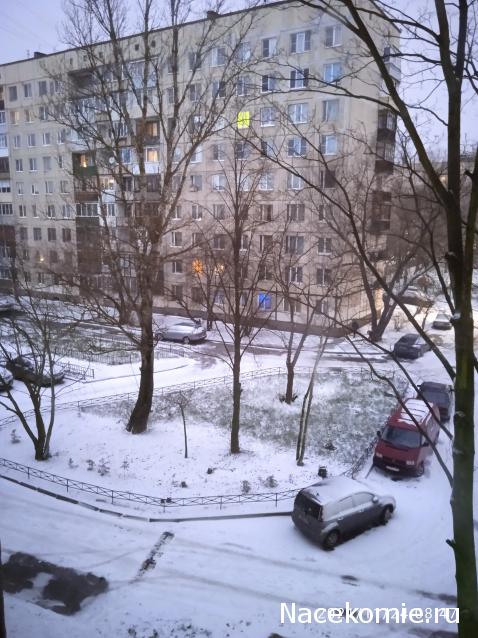 "Живой уголок"