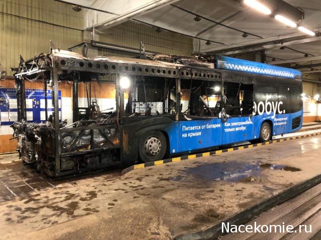 Околоавтобусная болталка