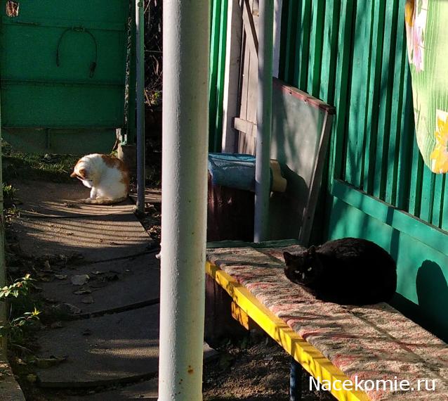 "Живой уголок"