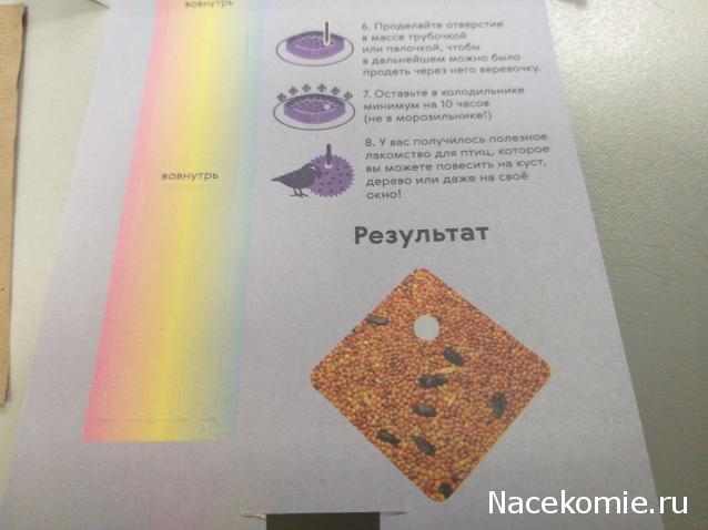 "Живой уголок"