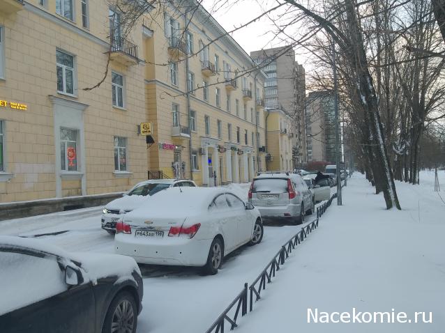 "Живой уголок"