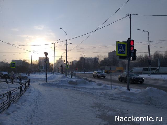 "Живой уголок"