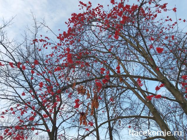"Живой уголок"