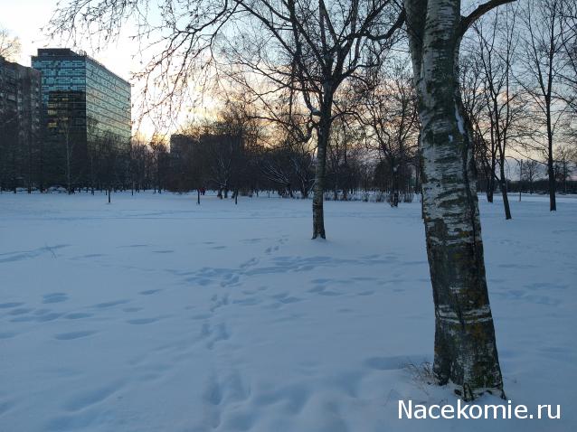 "Живой уголок"