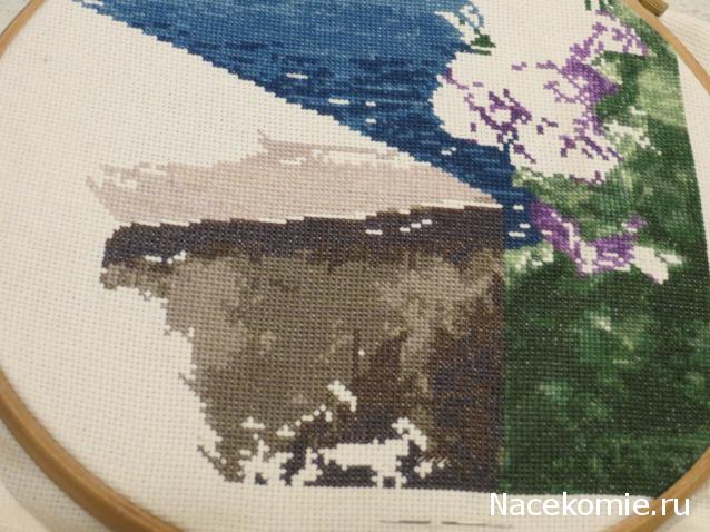 100 крестиков!