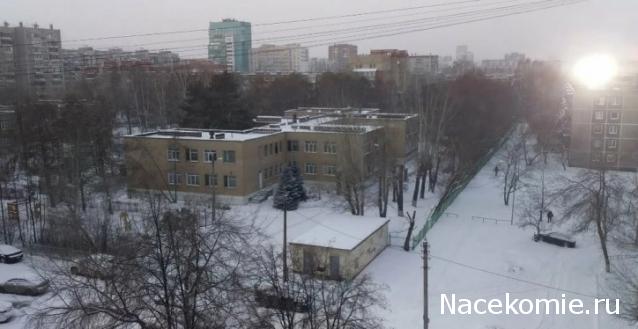 "Живой уголок"