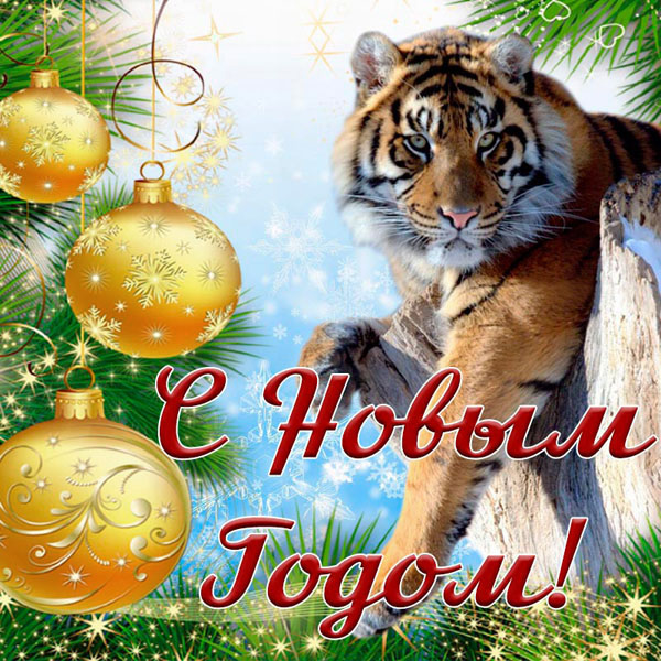 Над златом чахнем. Болталка раздела "Нумизматика"