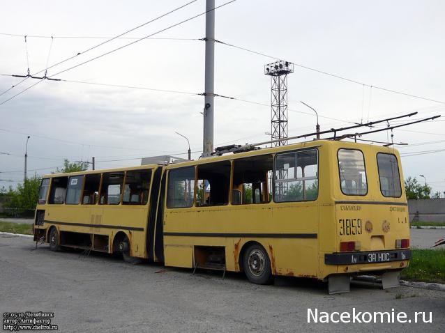 Околоавтобусная болталка