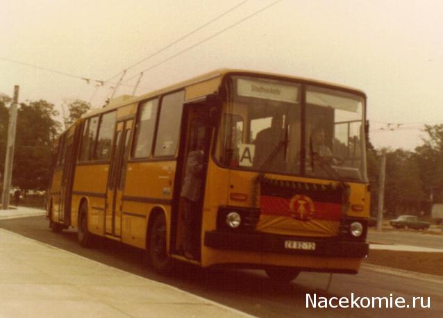 Околоавтобусная болталка
