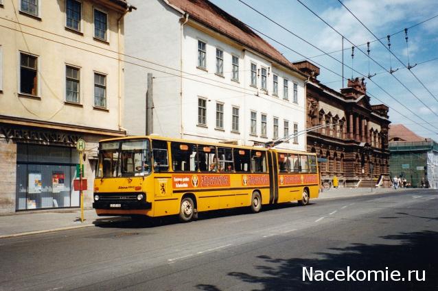 Околоавтобусная болталка