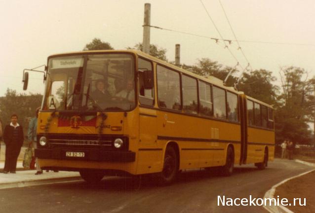 Околоавтобусная болталка