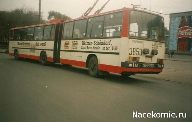 Околоавтобусная болталка