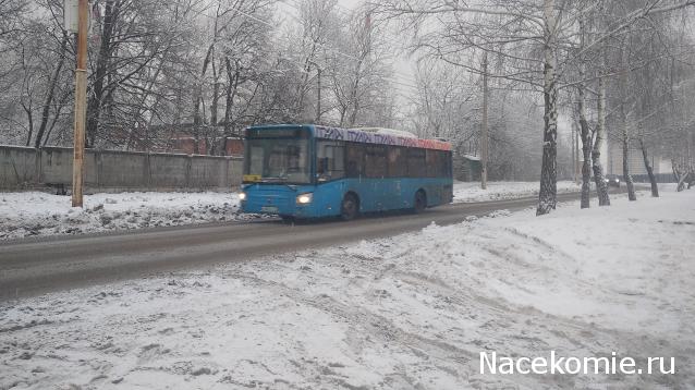 Околоавтобусная болталка