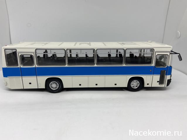 Наши Автобусы №31 - Икарус-256