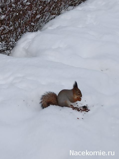 "Живой уголок"