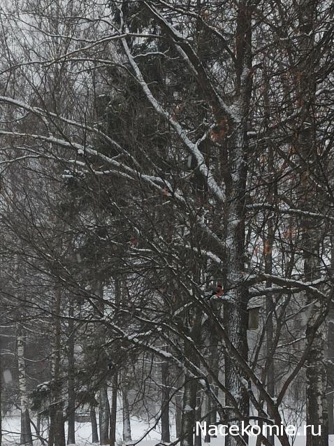 "Живой уголок"