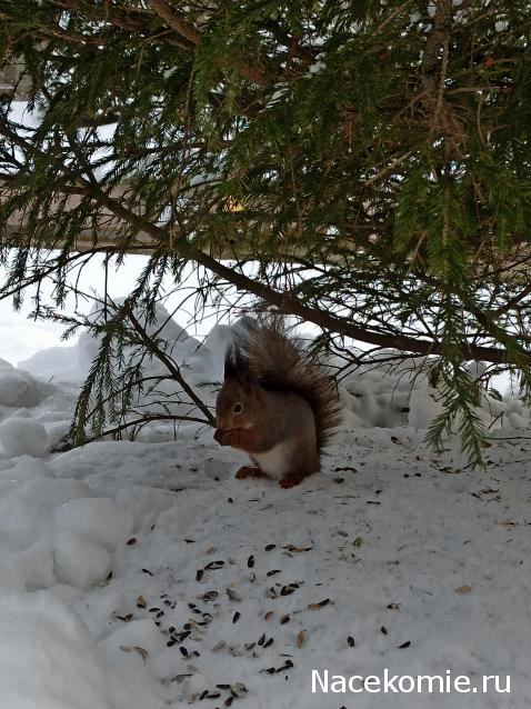 "Живой уголок"