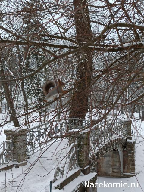 "Живой уголок"