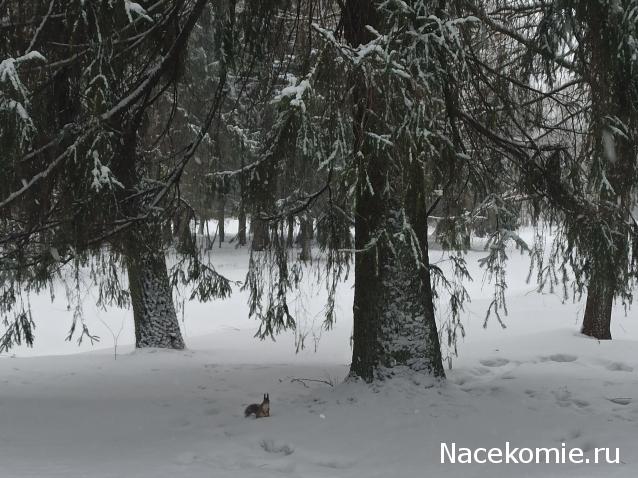 "Живой уголок"