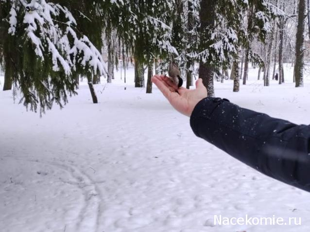 "Живой уголок"