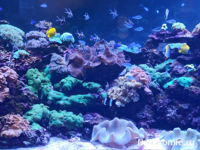 "Живой уголок"