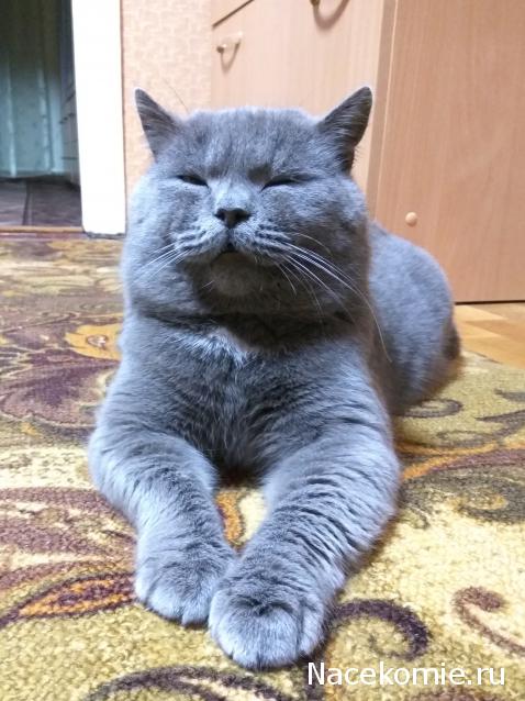 "Живой уголок"