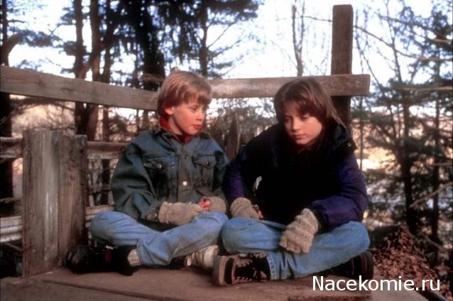 Кинозал автолюбителей