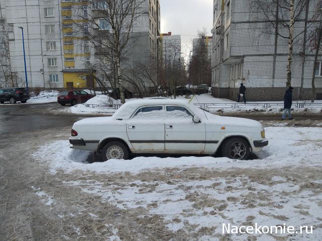 Автолегенды вживую