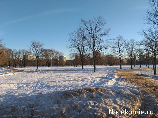 "Живой уголок"