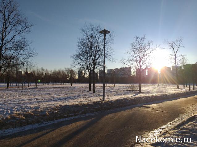 "Живой уголок"