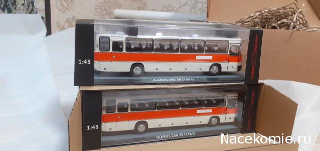 Demprice. Масштабные модели автобусов 1:43.