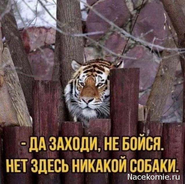 Тракторная болталка