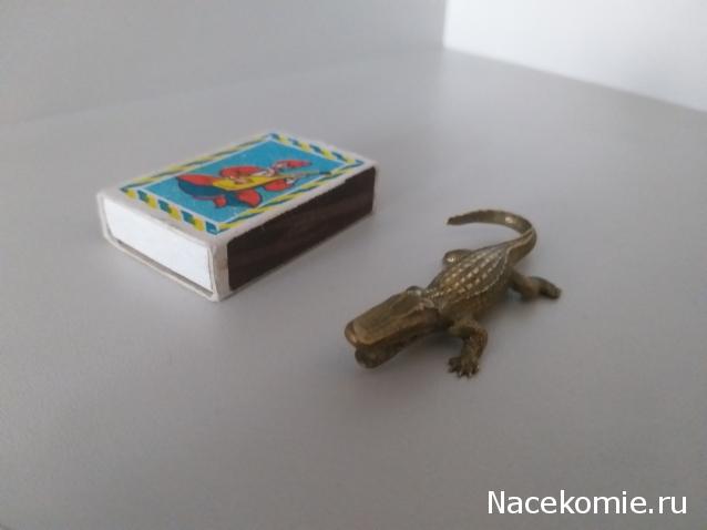 "Живой уголок"