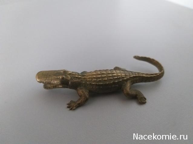 "Живой уголок"