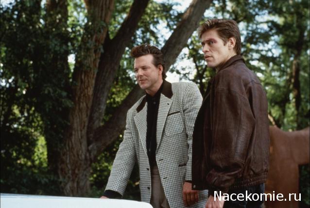 Кинозал автолюбителей