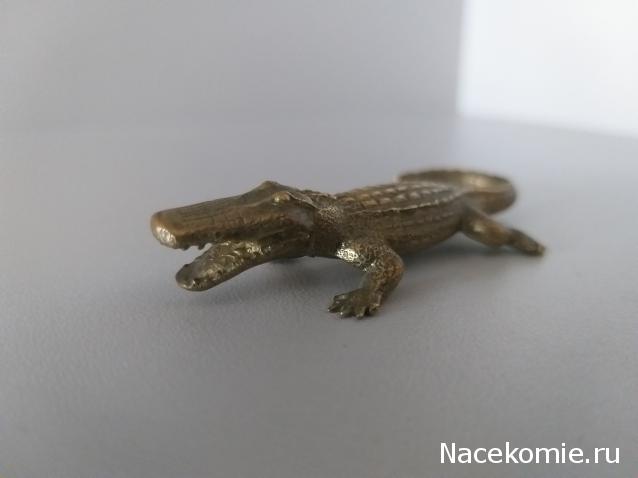 "Живой уголок"