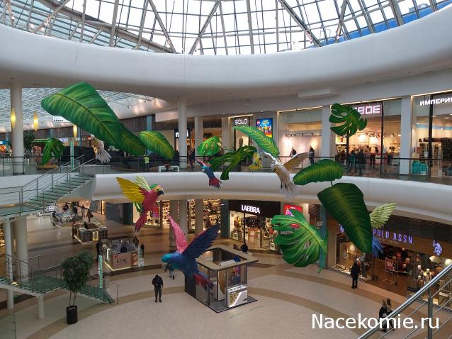 "Живой уголок"