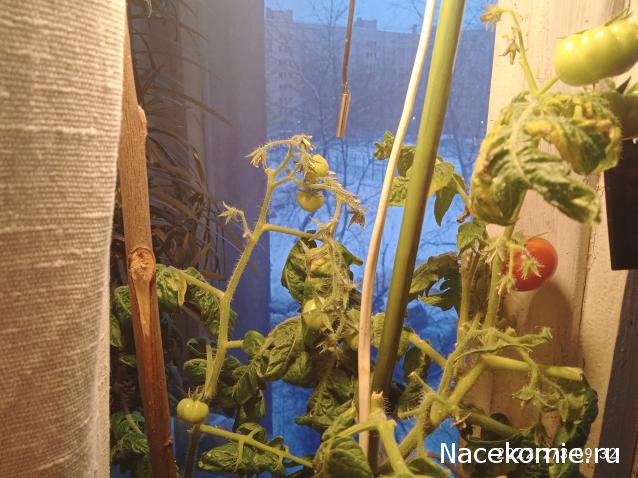 "Живой уголок"