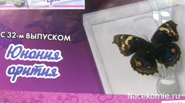 Удивительные Бабочки №32 - Юнония Орития