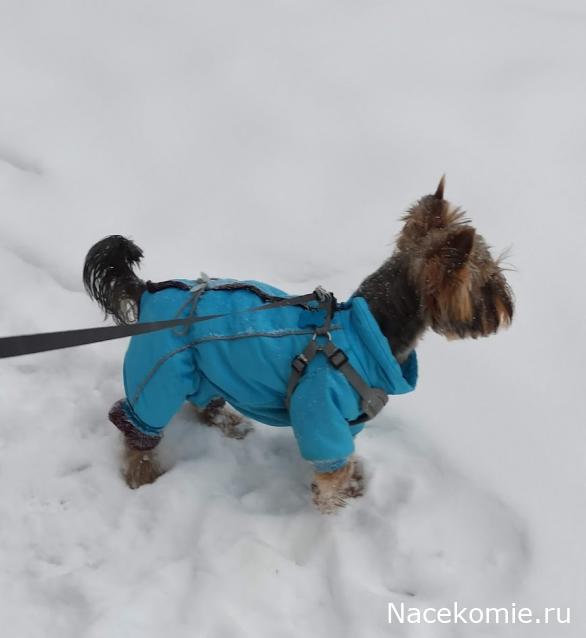 Тракторная болталка