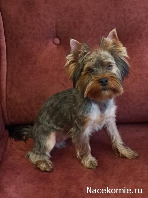 "Живой уголок"