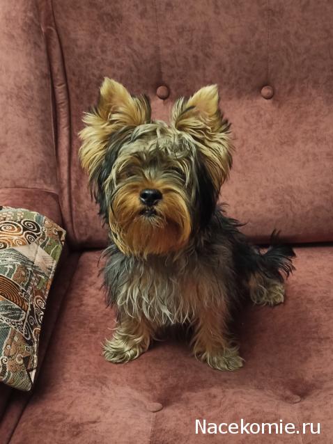 "Живой уголок"