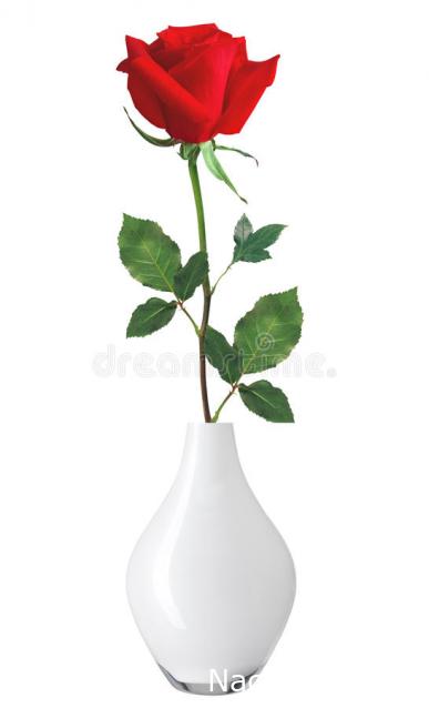 Дом Мечты наши дни рождения