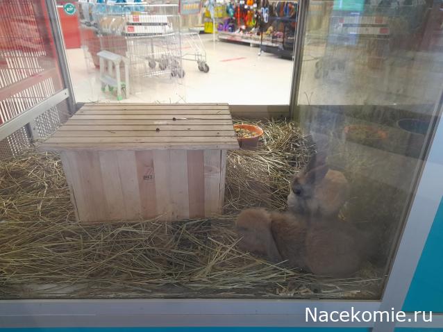 "Живой уголок"