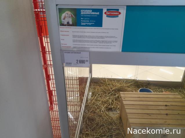 "Живой уголок"