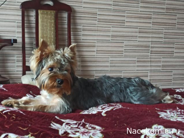 "Живой уголок"